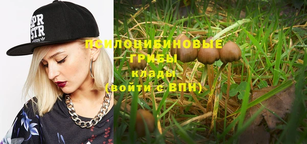 круглые Алзамай