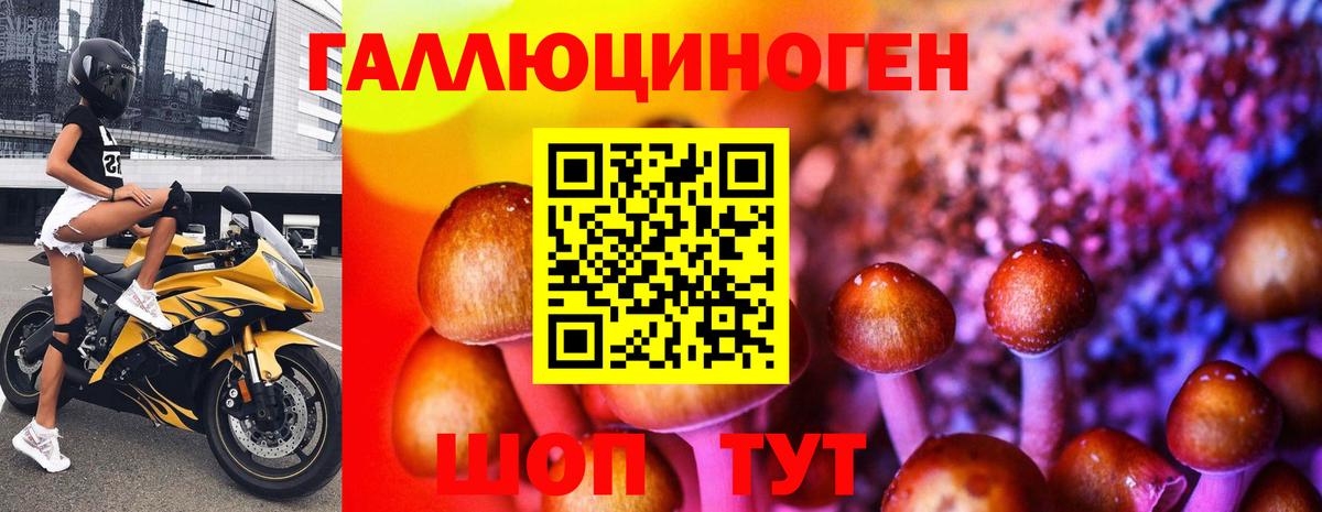 Галлюциногенные грибы Cubensis Челябинск
